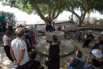 holyland - 023