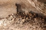 holyland - 086