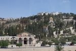 holyland - 110