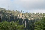 holyland - 118